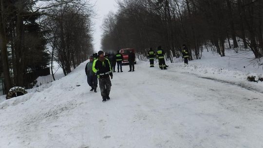Strażacy przeczesywali lasy koło Janowa Lubelskiego. 17 krów na gigancie