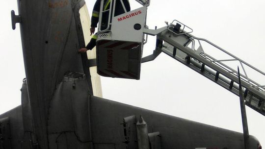 Strażacy ruszyli na pomoc ptakom: Oswobodzili kawki z samolotu