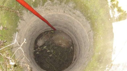 Strażacy uratowali dzika uwięzionego w studni