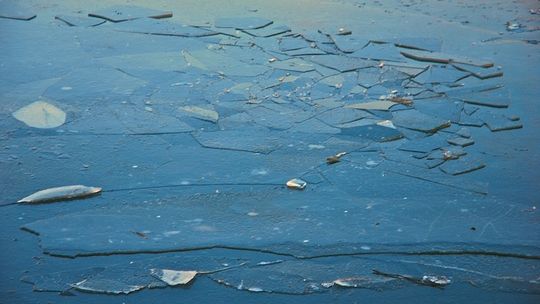 Strażacy uratowali psa dryfującego na krze