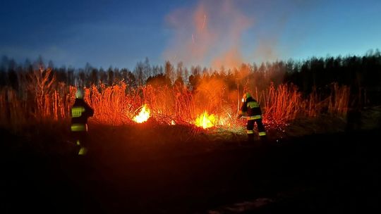 Strażacy walczyli z pożarem traw