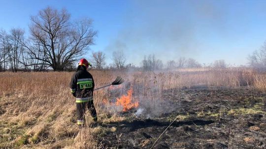 Strażacy wyjechali gasić trawy. Prawdopodobnie po raz pierwszy w tym roku