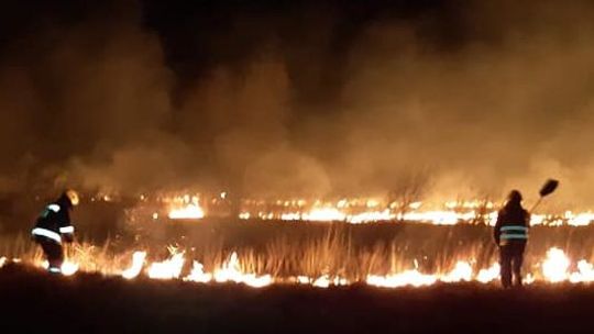 Strażacy z Rejowca ostro: "Sezon na głupotę rozpoczęty"