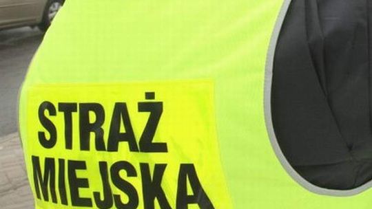 Strażnicy miejscy kierowcy nie bili. "Już się dogadaliśmy i przeprosiliśmy"