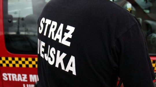 Strażnicy miejscy poturbowali kierowcę? Usłyszeli zarzuty