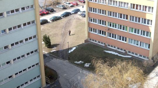 Strefa grillowania na miasteczku, więcej zieleni przy Politechnice
