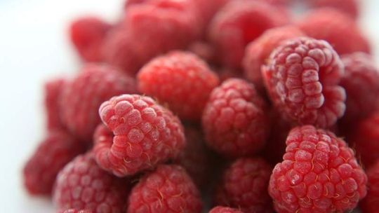 Strefa Inwestycji Kraśnik: Ruszyła budowa przetwórni