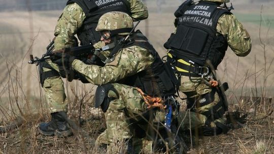 Strzelali do przemytników w okolicach Dorohuska