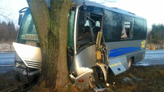 Strzeszkowice Duże: Bus uderzył w drzewo. 5 osób w szpitalu