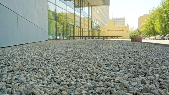 Studenci zaprojektują sobie rzeźbę