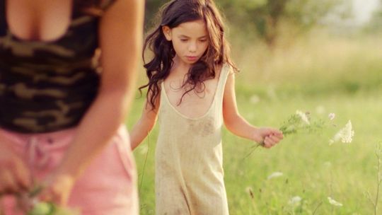 Studenckie Konfrontacje Filmowe 2013 (program)