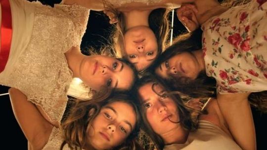 Studenckie Konfrontacje Filmowe w Chatce Żaka (program)