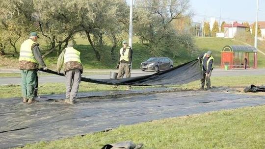Studenckie pomysły na ozdabianie rond w Lublinie