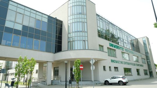 Studia w dobie pandemii