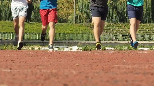 Studiowanie w czasie pandemii. Jak wygląda WF przed komputerem?