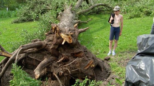 Suchodoły: Wichura uszkodziła dachy, wyrwała drzewa