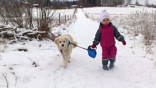 Suczka z Bełżyc znalazła nowy dom w Szwecji