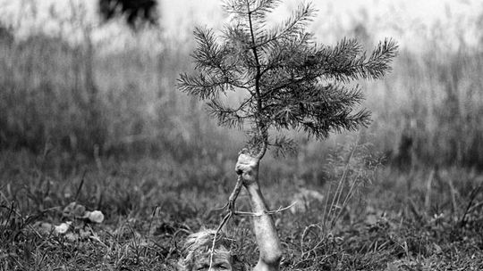 Sukces fotografa z Białej Podlaskiej: "Karczeby" wyróżnione w USA