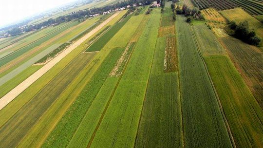 Superrolnicy poszukiwani. Czy jesteś Rolnikiem Lubelszczyzny?