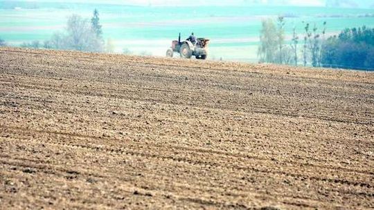 Susza. Będzie pomoc finansowa dla rolników?