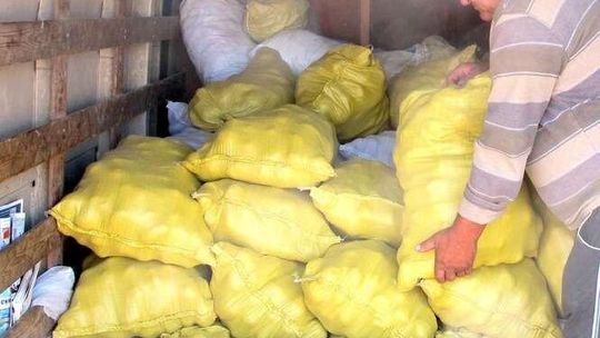 Susza w woj. lubelskim. Rolnik nieubezpieczony straci więcej