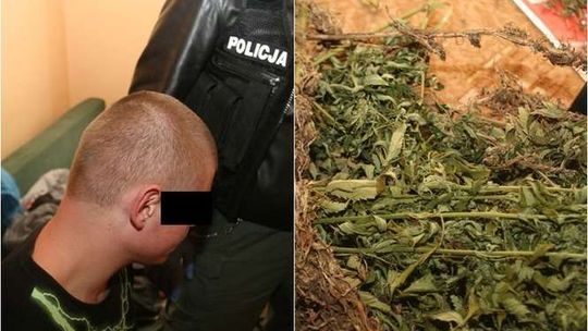 Suszarnia konopi w centrum Lublina. 22-latek miał 4 kg marihuany