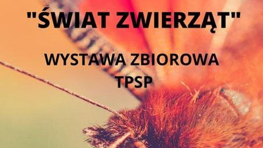 "Świat zwierząt" - nowa wystawa w Galerii Przy Bramie