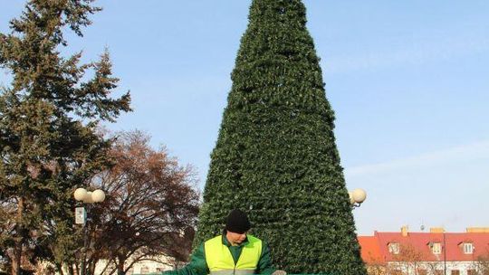 Świąteczne dekoracje w centrum Białej Podlaskiej 