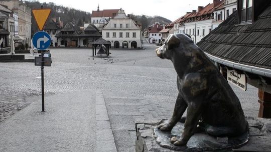 Świąteczne dekoracje wygrały głosowaniu w ramach budżetu obywatelskiego w Kazimierzu Dolnym