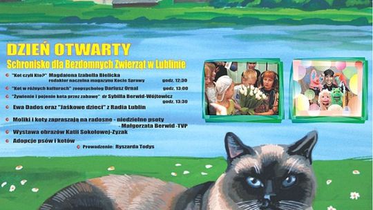 Światowy Dzień Kota dziś w schronisku 