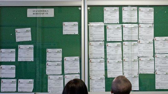 Światowy Dzień Walki z Bezrobociem