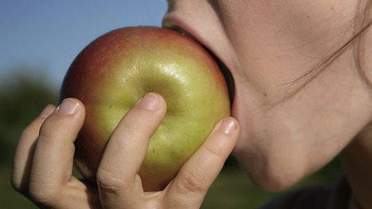 Światowy Dzień Zdrowia w Lublinie. Darmowe badania i upominki