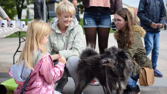 Światowy Dzień Zwierząt w Lublinie. „Wyglądają inaczej – czują tak samo”