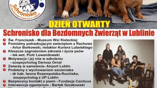 Światowy Dzień Zwierząt w sobotę w schronisku w Lublinie