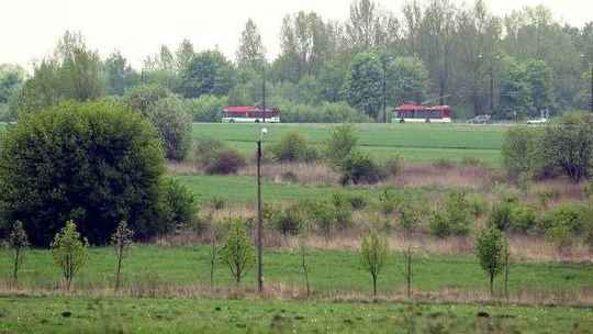 Światowy koncern z gigantyczną inwestycją na Felinie