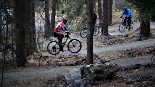 Światowy standard rowerowy w środku lasu. Pierwszy taki Single Track w Lubelskiem 