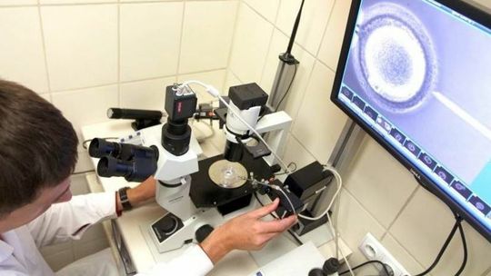 Świdnik: Będzie miejski program in vitro. Tak zdecydowali mieszkańcy