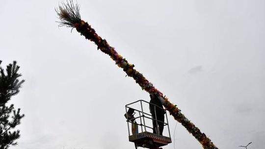 Świdnik gotowy na święta. Mieszkańcy zrobili 13-metrową palmę