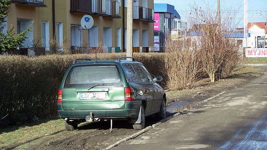 Świdnik: Kierowcy rozjeżdżają zieleń