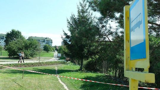 Świdnik: Nietrafione rozwiązanie czy niszczenie zieleni?