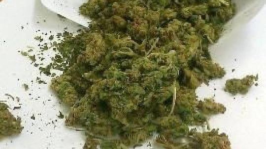 Świdnik: Ukrył narkotyki w kuchennym stole