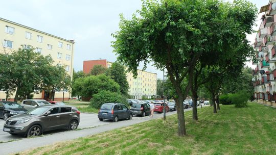 Świdnik: Ul. Witosa będzie remontowana. Obejdzie się bez wycinki