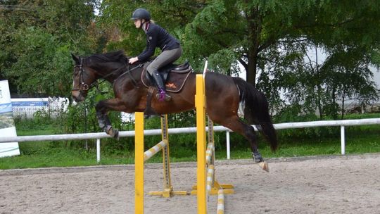 Święto jeździectwa w Lublinie