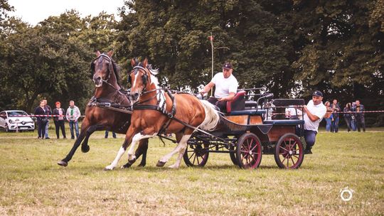 Święto Konia w Sitnie. Dwudniowa impreza już w ten weekend