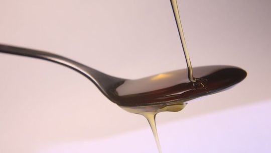 Święto miodu już w niedzielę. Do Lublina przyjadą pszczelarze z całego regionu