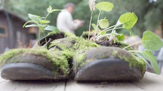 „Święto” nad Bugiem czyli 8. Land Art Festiwal