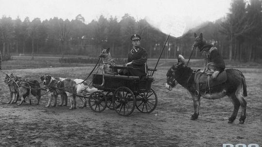 Święto policji. Jak wyglądała praca funkcjonariuszy dawniej (zdjęcia)
