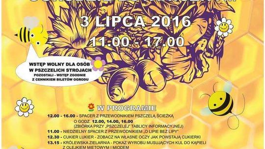 Święto Pszczół w Ogrodzie Botanicznym
