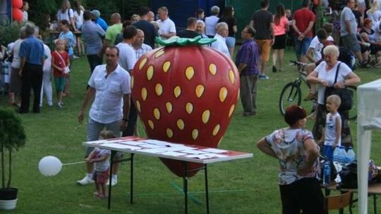 Święto Truskawki w Górze Puławskiej. Program
