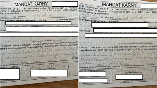 Świętowali urodziny. Z tej okazji dewastowali śmietniki